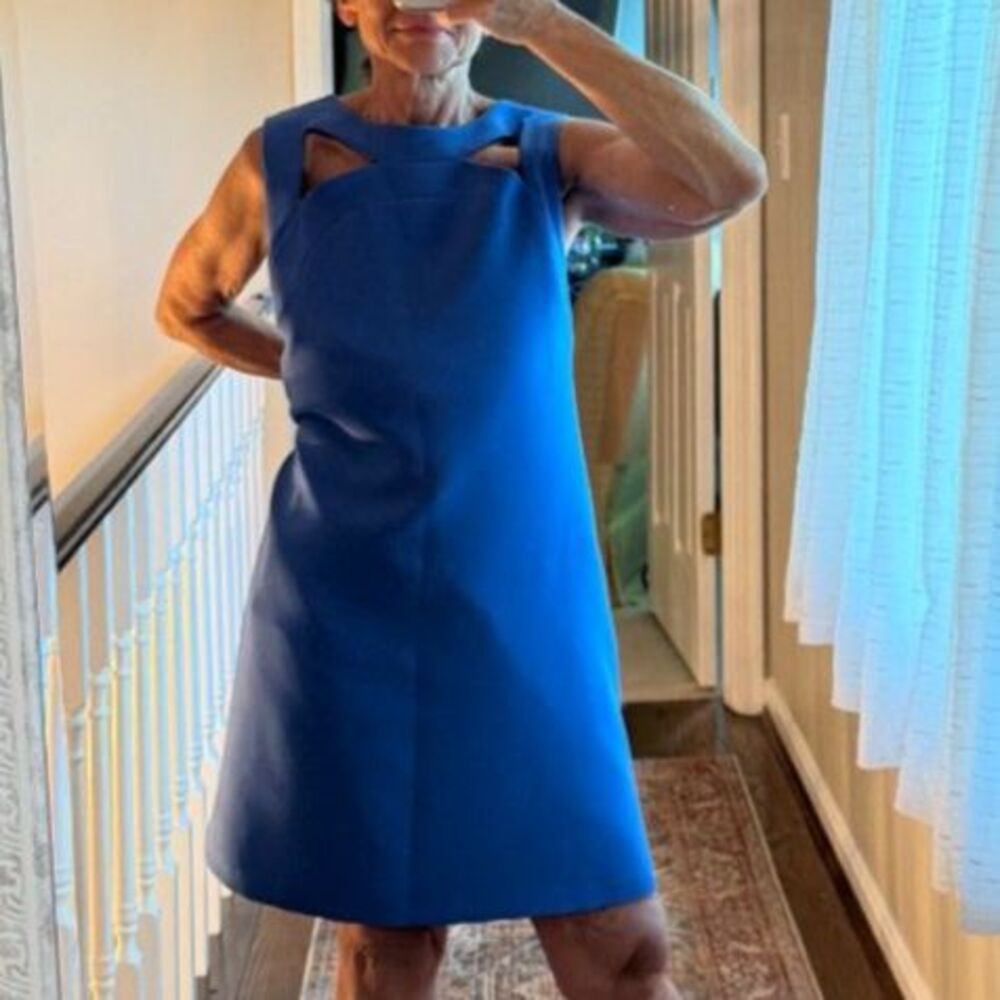 Classic Alex Marie Cobolt Blue Cutout Shift Dress size 14 - Picture 5 of 7